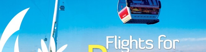 Flights for Peace across the Thames on Sunday&nbsp;2-3pm